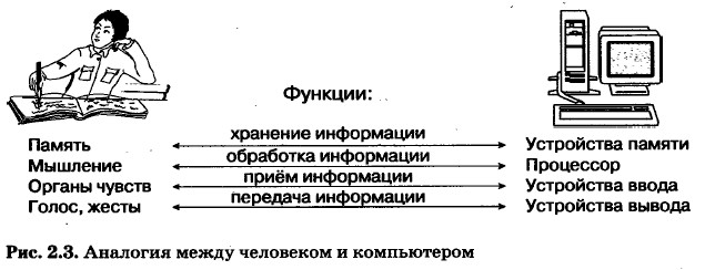 Устройства компьютера и их функции. Информатика 7 класс. Босова